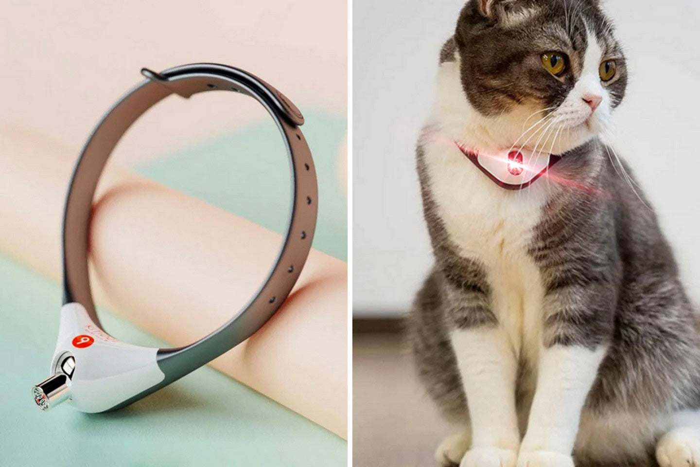 Cat Interactive Laser Collar